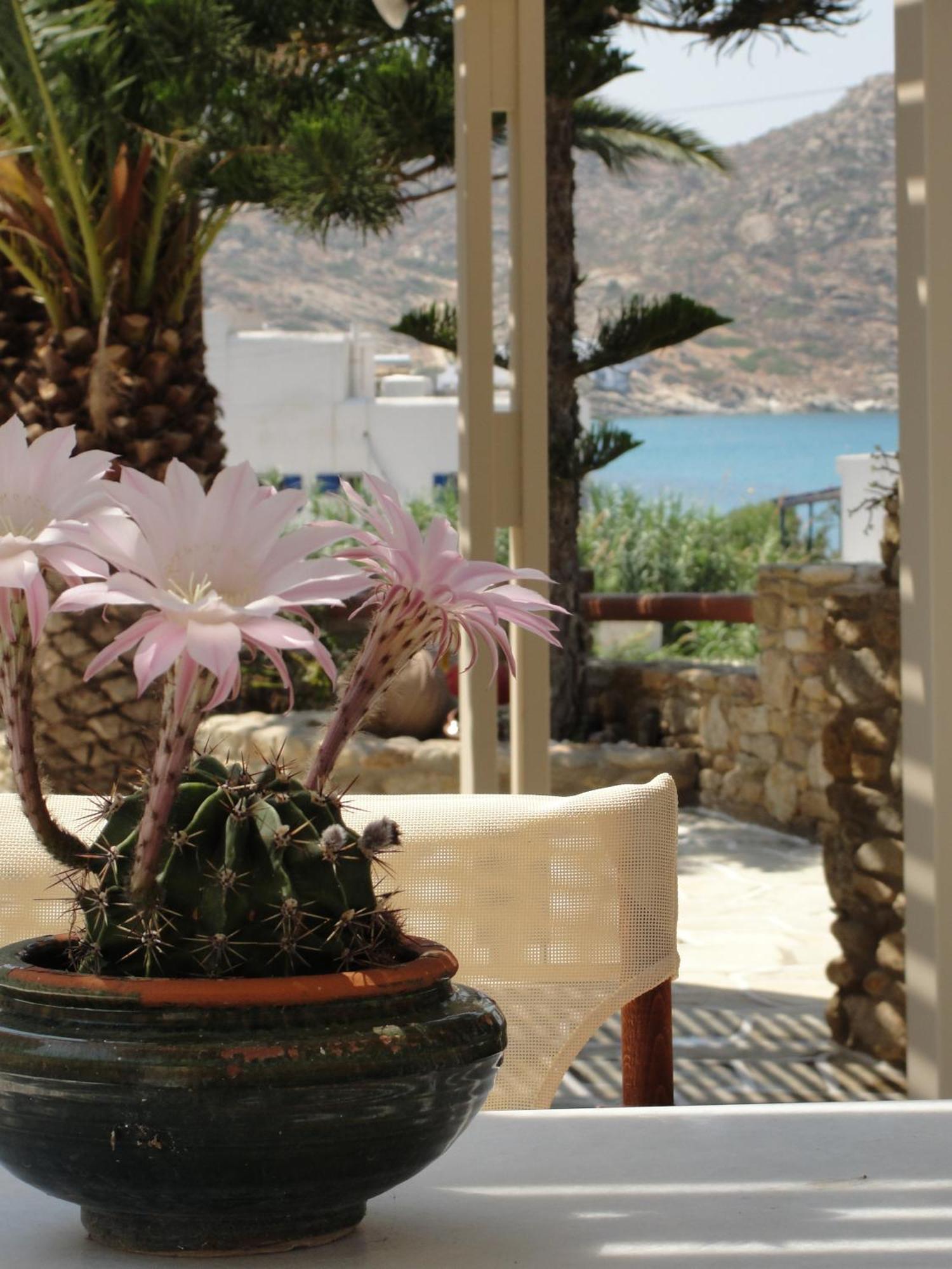 Galaxy Hotel Mylopotas Dış mekan fotoğraf